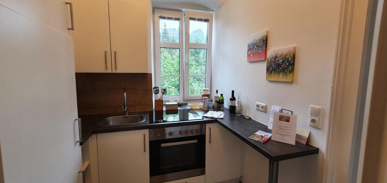 Appartements Maximilian Göstling an der Ybbs Extérieur photo